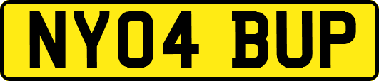 NY04BUP
