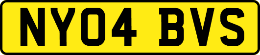NY04BVS