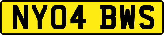 NY04BWS