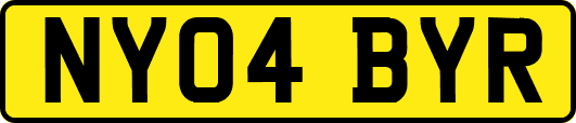 NY04BYR