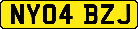 NY04BZJ