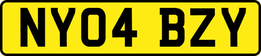 NY04BZY