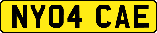 NY04CAE