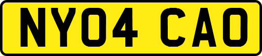 NY04CAO