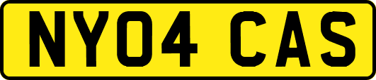 NY04CAS