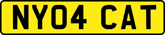 NY04CAT