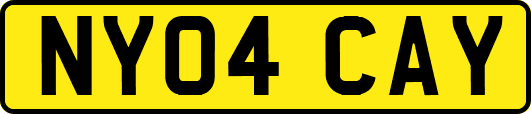 NY04CAY