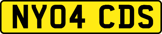 NY04CDS