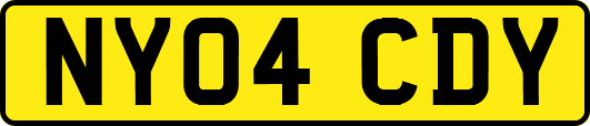 NY04CDY