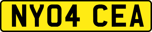 NY04CEA