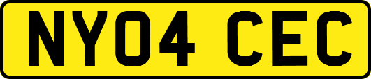 NY04CEC