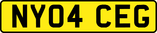 NY04CEG