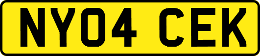 NY04CEK