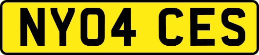 NY04CES