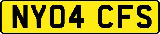 NY04CFS