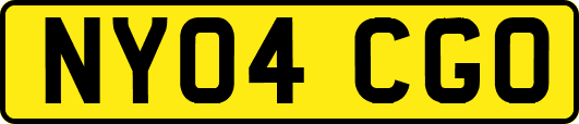 NY04CGO