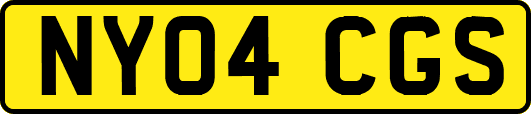 NY04CGS