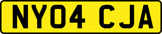 NY04CJA
