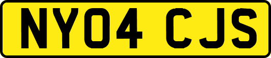 NY04CJS