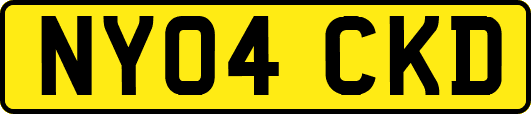 NY04CKD
