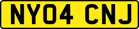 NY04CNJ