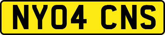 NY04CNS