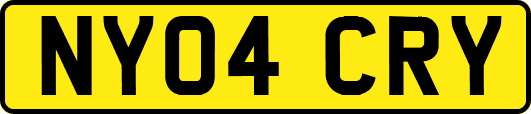 NY04CRY