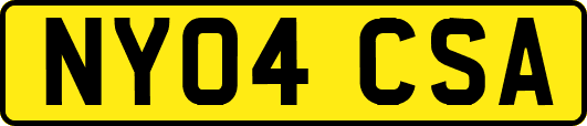 NY04CSA