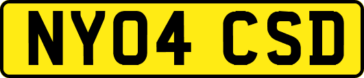 NY04CSD