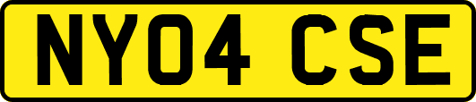 NY04CSE