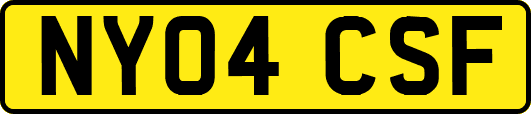 NY04CSF