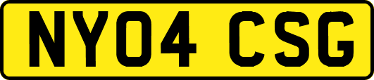 NY04CSG