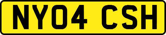 NY04CSH