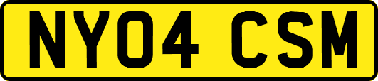 NY04CSM