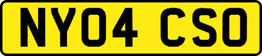 NY04CSO