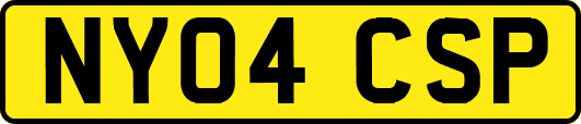 NY04CSP