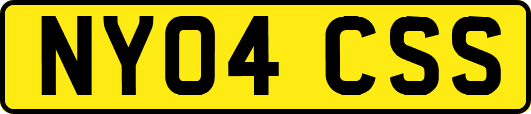 NY04CSS