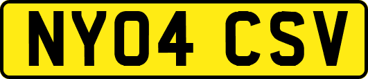 NY04CSV