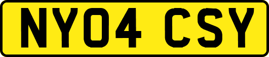 NY04CSY