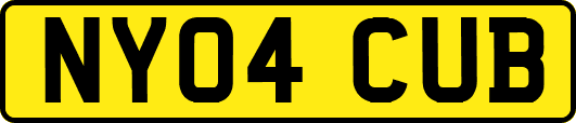 NY04CUB