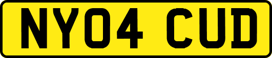NY04CUD