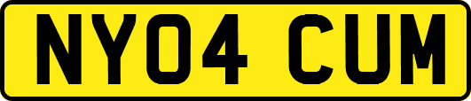 NY04CUM