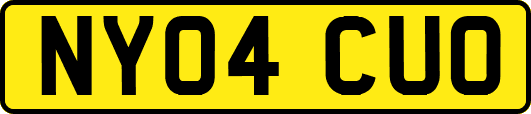 NY04CUO
