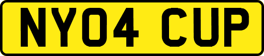 NY04CUP