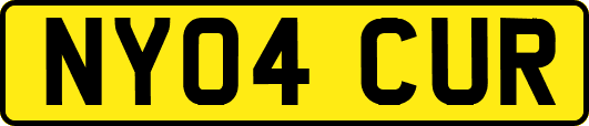 NY04CUR