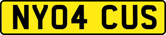 NY04CUS