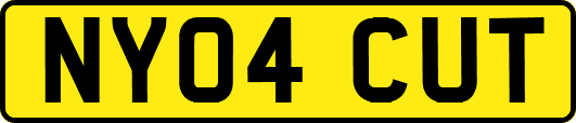 NY04CUT