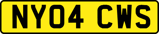 NY04CWS