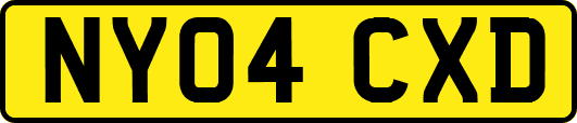 NY04CXD
