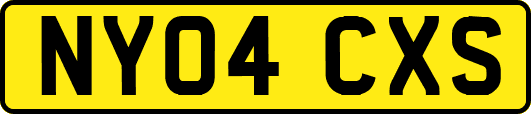 NY04CXS